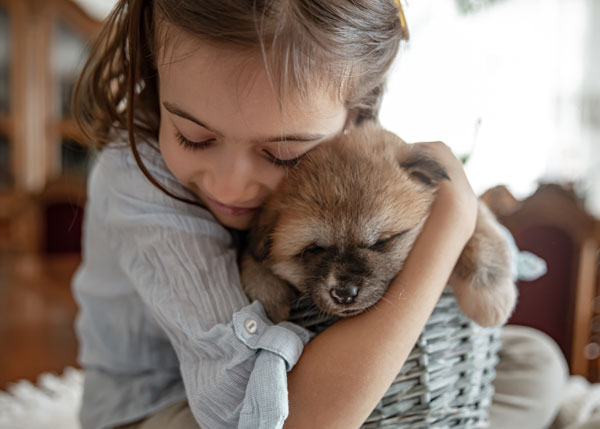 deaf blindness child seeks comfort from a puppy
