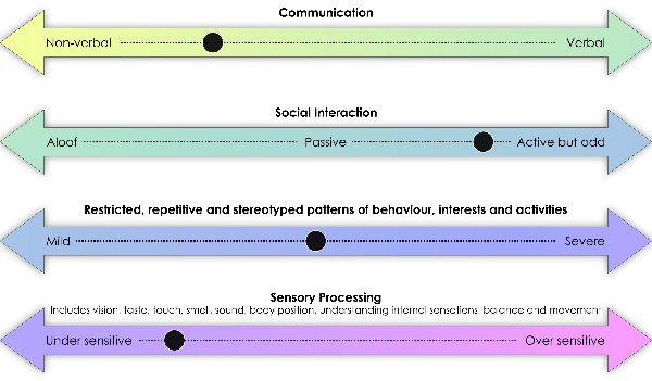 Autism Spectrum Disorder severity spectrum graphic