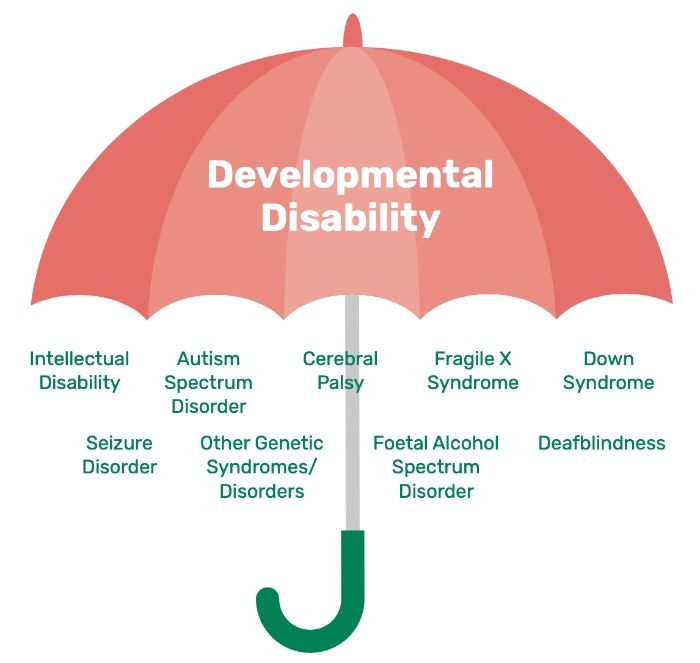 developmental disabilities umbrella